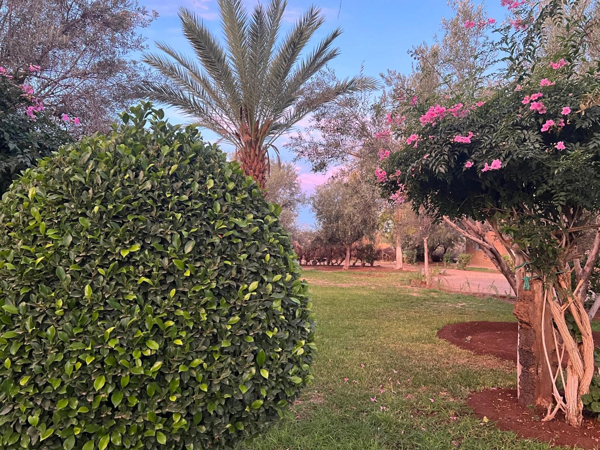 Bed and Breakfast Le Domaine De Carole Marrakech Douar Akkara Exterior foto